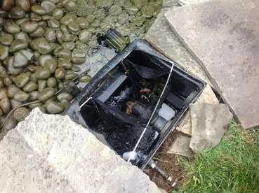 Pond Leak Detection